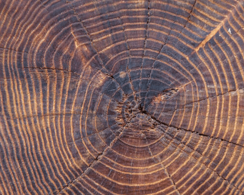 ECONOMIX, OPTIMA, SCHNEIDER+