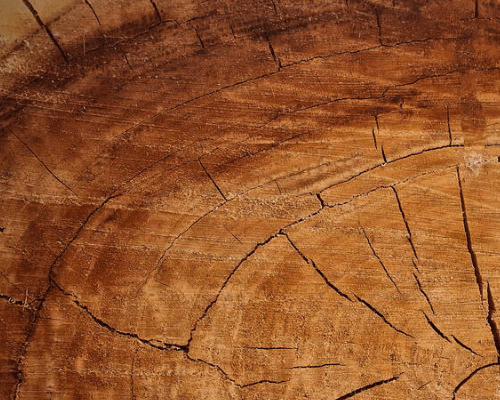 4OFFICE, NORMA, SCHOLZ, БАРВИНОК+