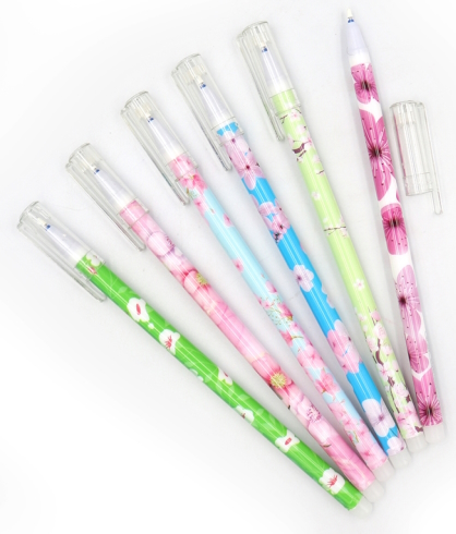 DSCN9865 Ручка що стираеться 