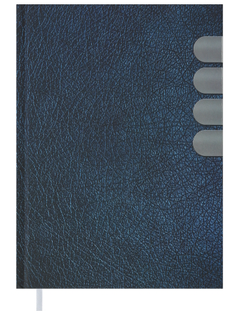 Щоденник недат. INDEX, A5, синій, BM.2041-02