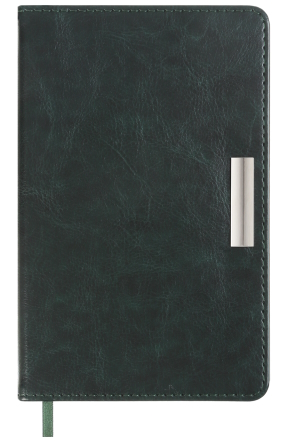 Щоденник недат. SALERNO, A6, зелений, штучна шкіра, BM.2603-04