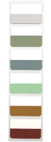 P89 Папір для нотаток PET 6кол., 60шт. 28мм*44мм 1шт/єтик