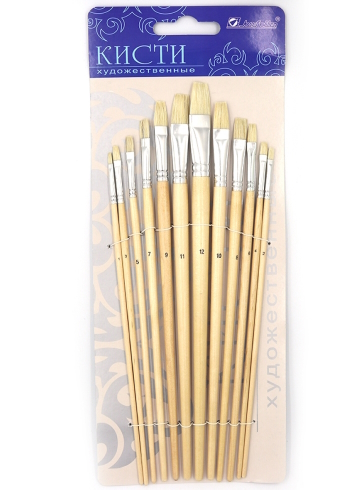 HX579 Набір пензликів Щетина (12PCS)