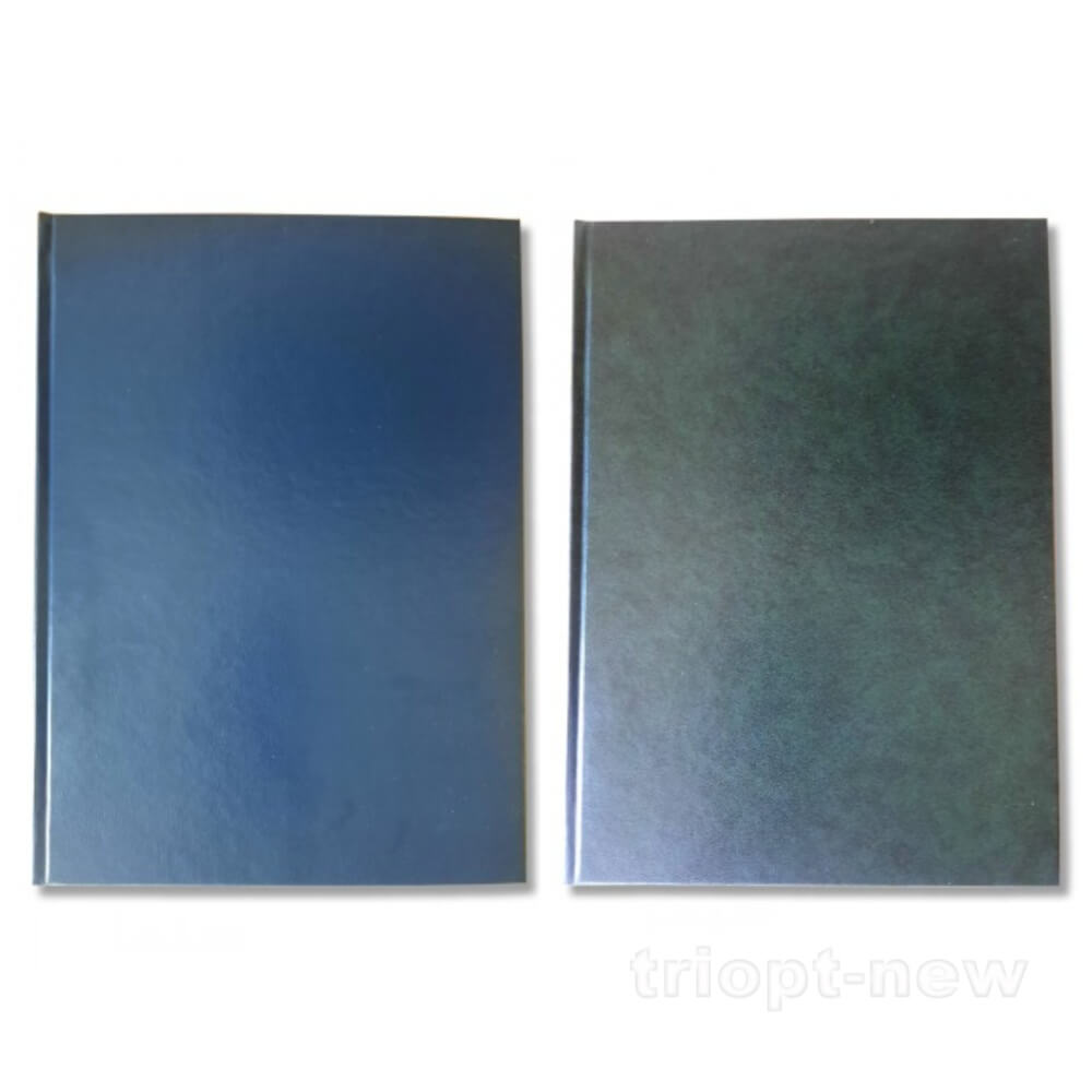 Зошит А4 96 арк., серія 