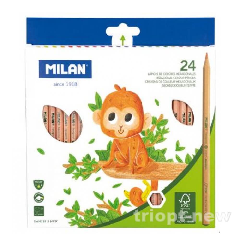 07221224FSC Набір кольор.олівців.шестикутні.  ТМ 