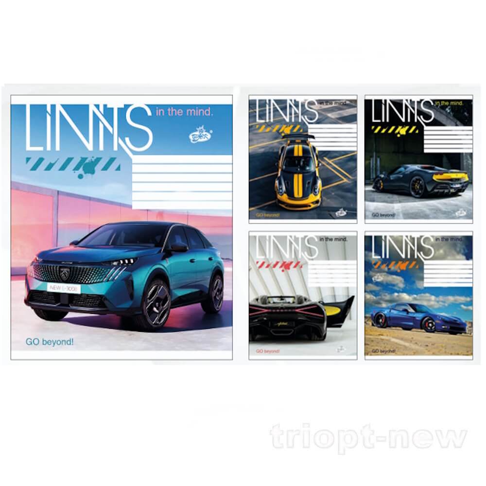 Зошит 48арк.оф.#ТВ-14 №2594 Динамiка сталi