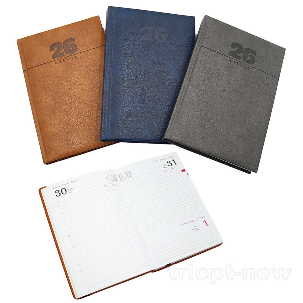 110115DL Щоденик ДАТОВ лін. 