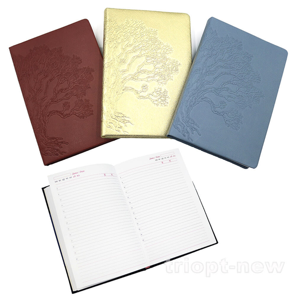 110709NL Щоден. недатов. лін. 