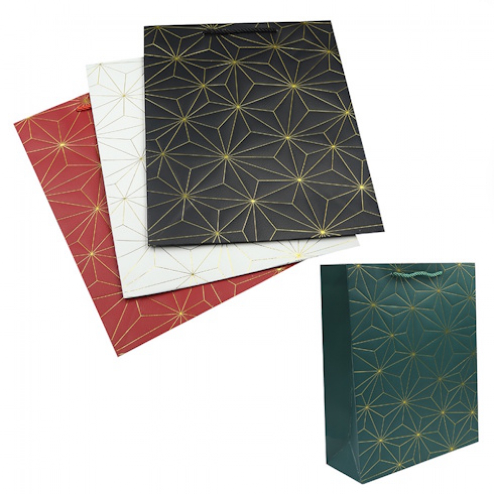 DSCN2918 Пакет папер. подарунк. 