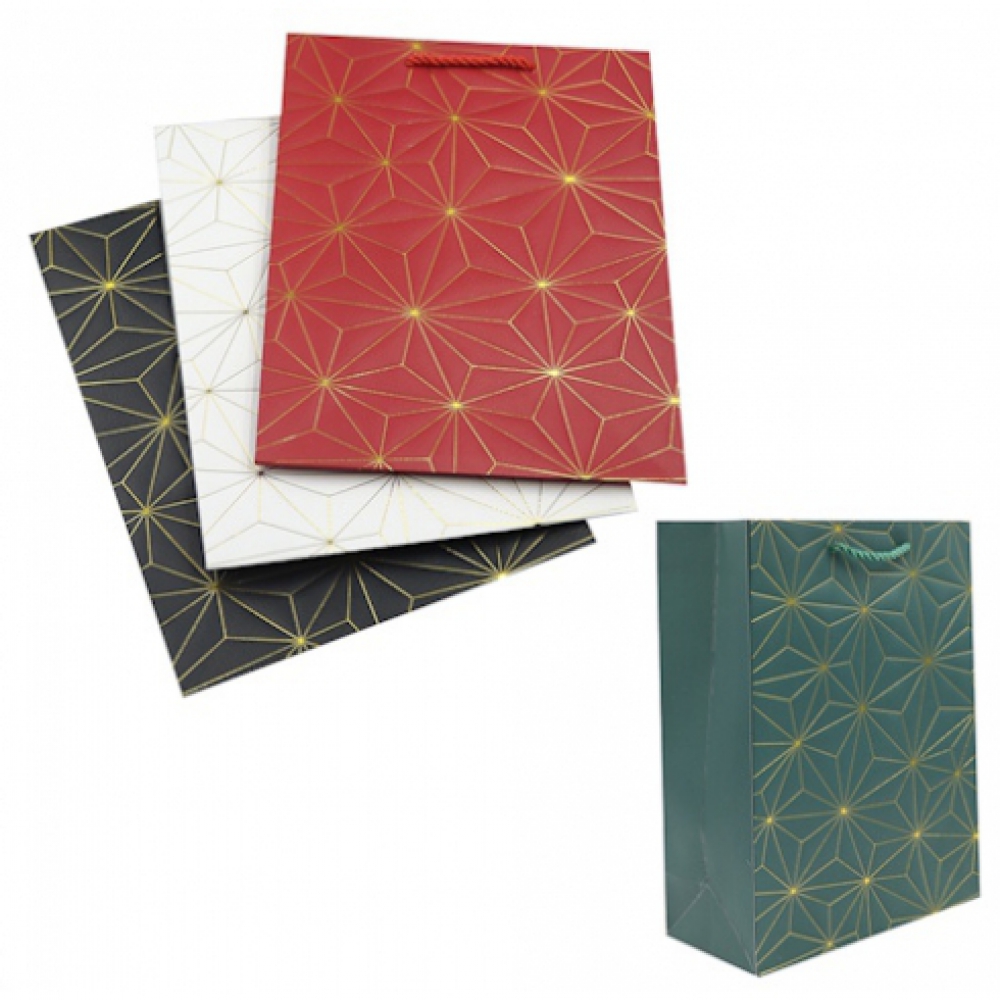 DSCN2918 Пакет папер. подарунк. 