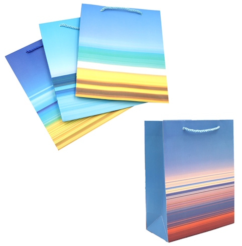 DSCN2959 Пакет папер. подарунк. 