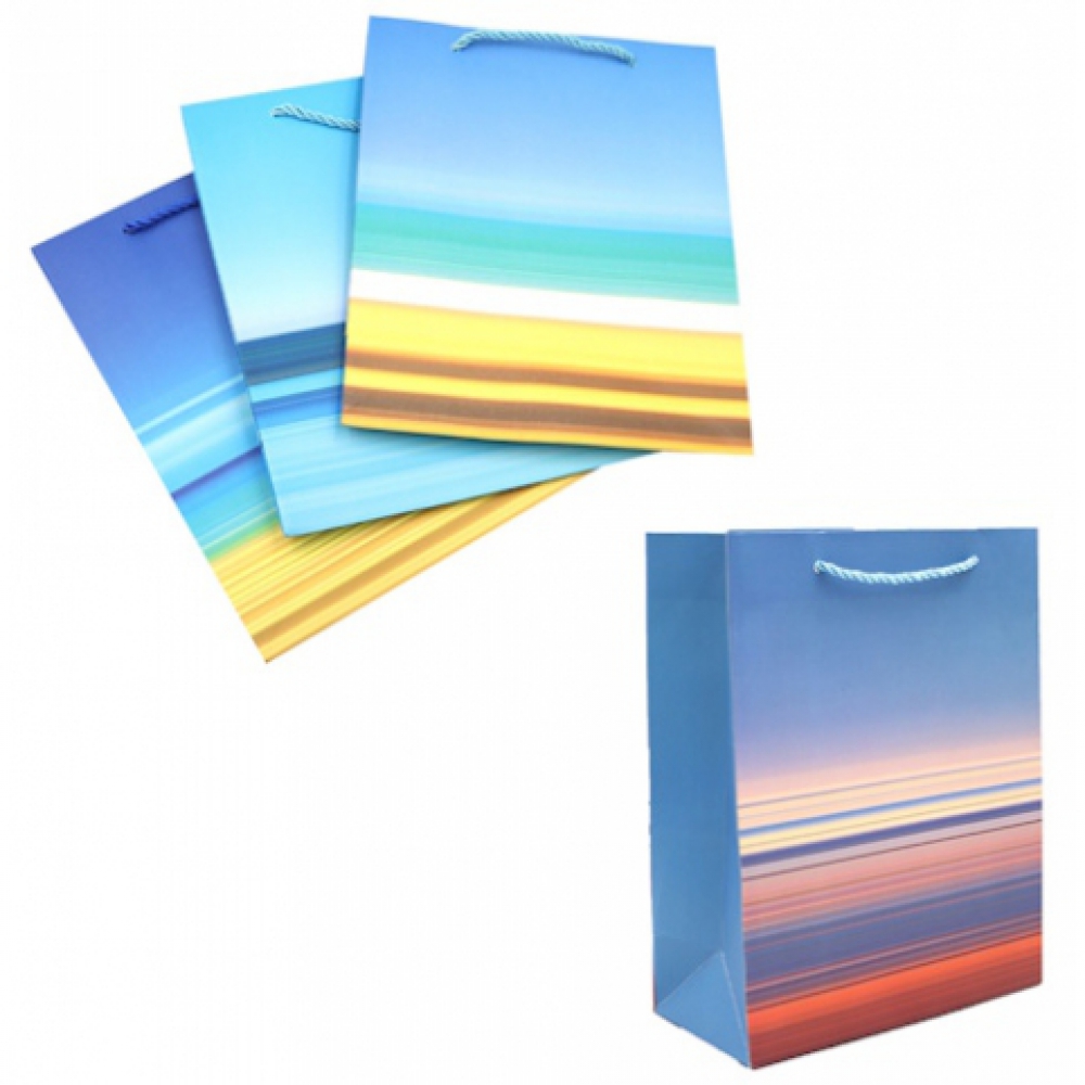 DSCN2959 Пакет папер. подарунк. 