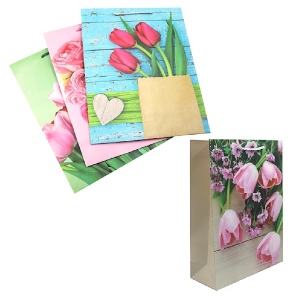 DSCN2964 Пакет папер. подарунк. 