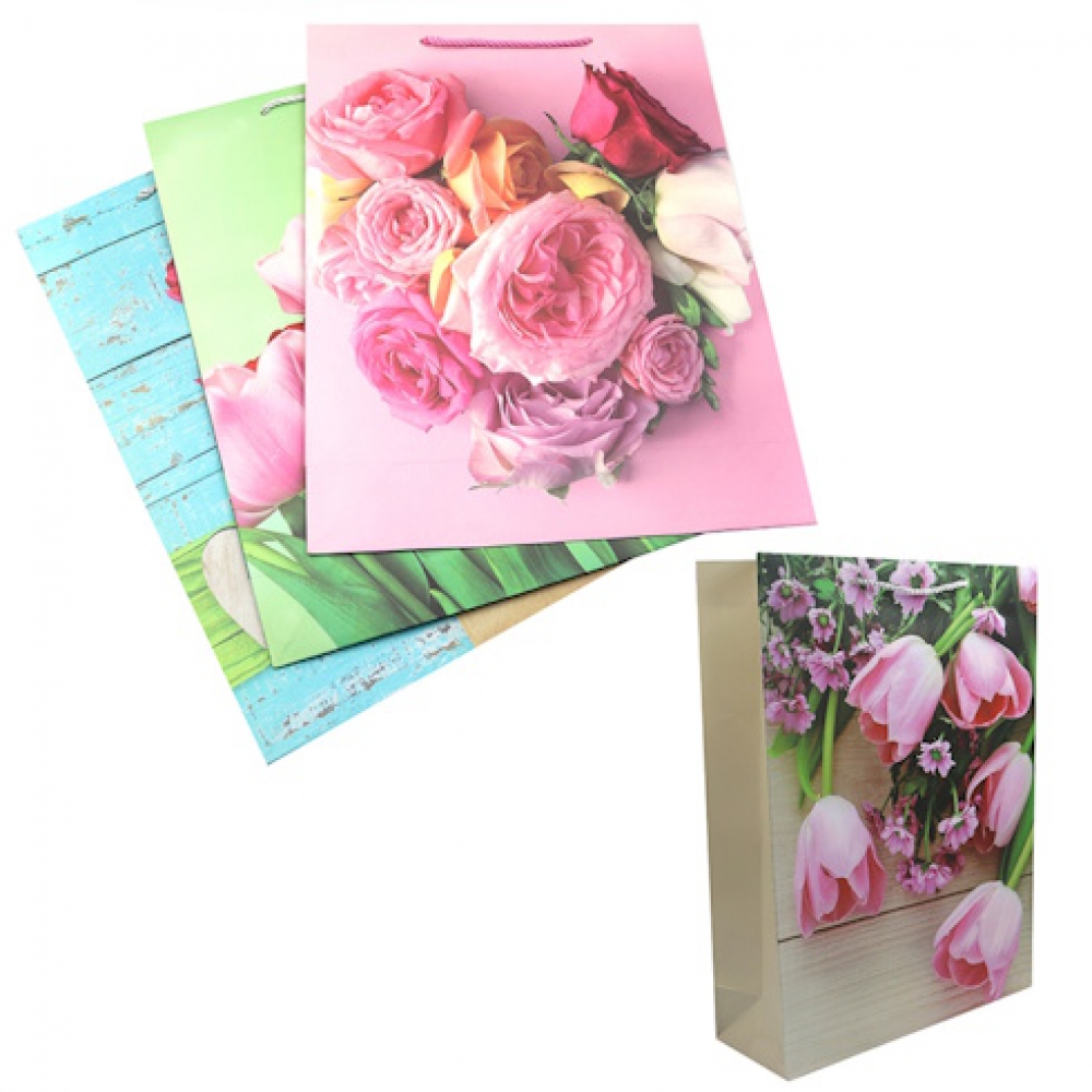 DSCN2964 Пакет папер. подарунк. 