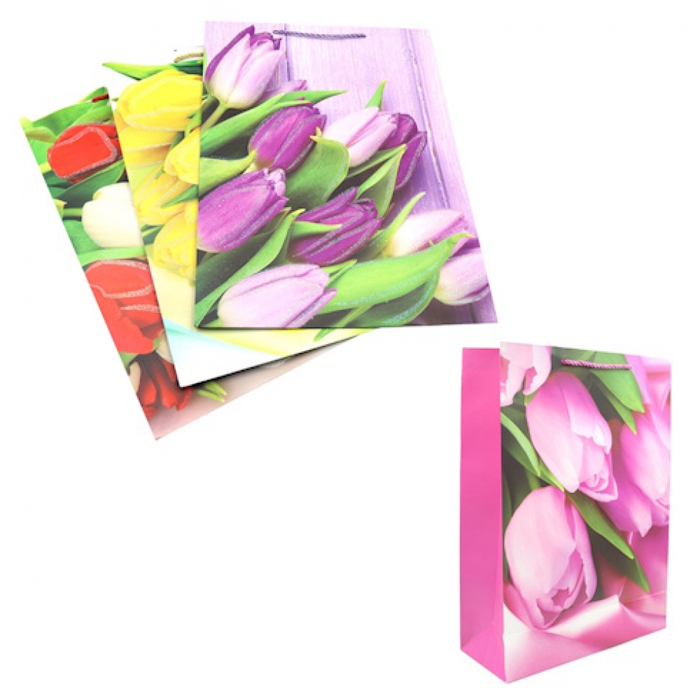 DSCN2981 Пакет папер. подарунк. 