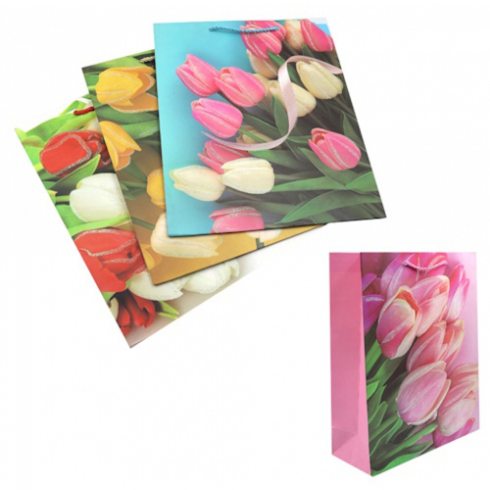 DSCN2981 Пакет папер. подарунк. 