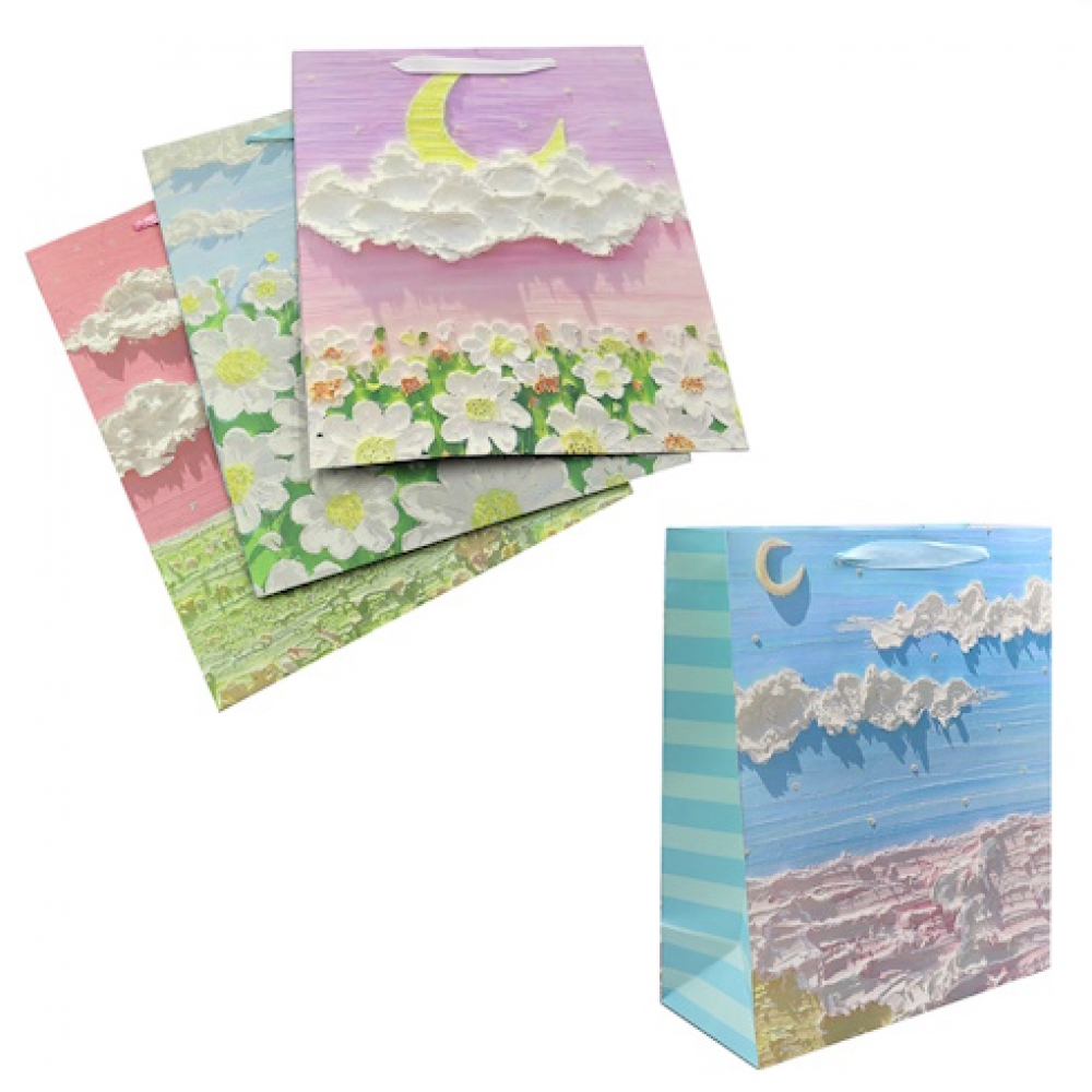 DSCN3000 Пакет папер. подарунк. 