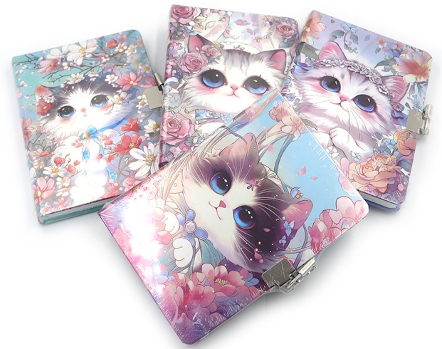 DSCN3266 Блокнот із замочком 