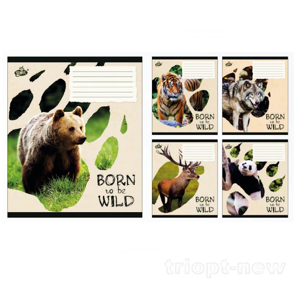 Зошит 24арк.оф.#ТВ-109 №2572 Звiринi слiди