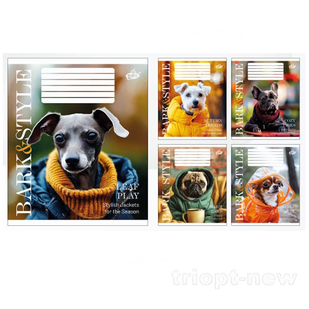 Зошит 36арк.оф.#ТВ-7 №2582 Моднi песики