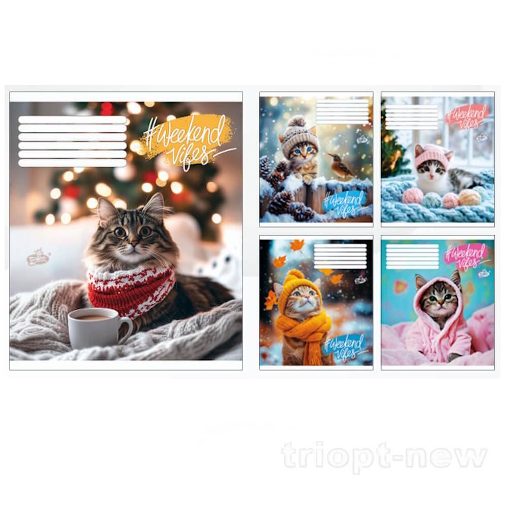 Зошит 60арк.оф.#ТВ-15 №2621 Муркотливий комфорт