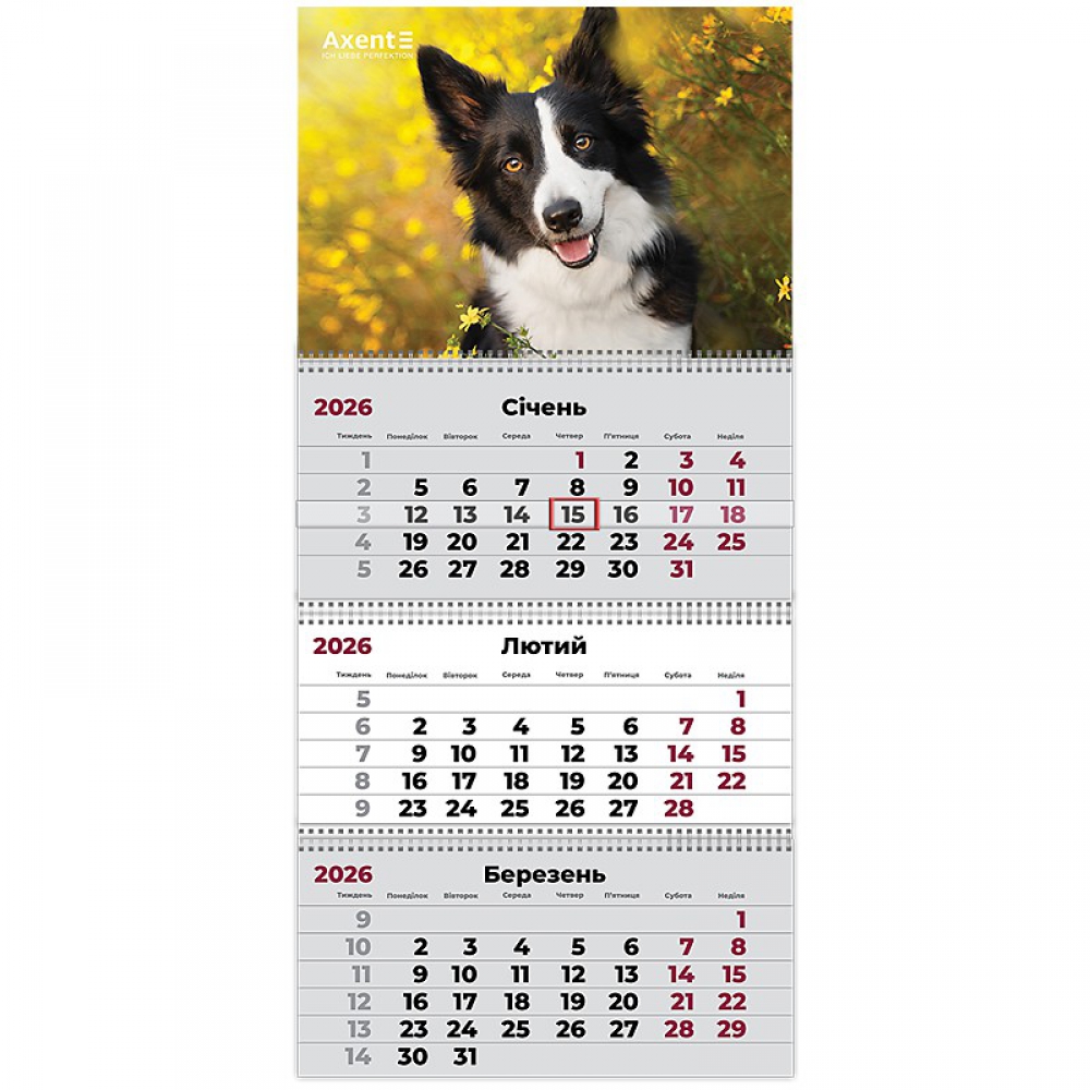 Календар настінний квартальний 2026 р.,3 пр. Dogs 3