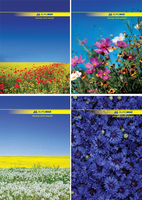 /Книга канцелярська NATURE, А4, 96 арк., клітинка, офсет, тверда ламінована обкладинка, асорті