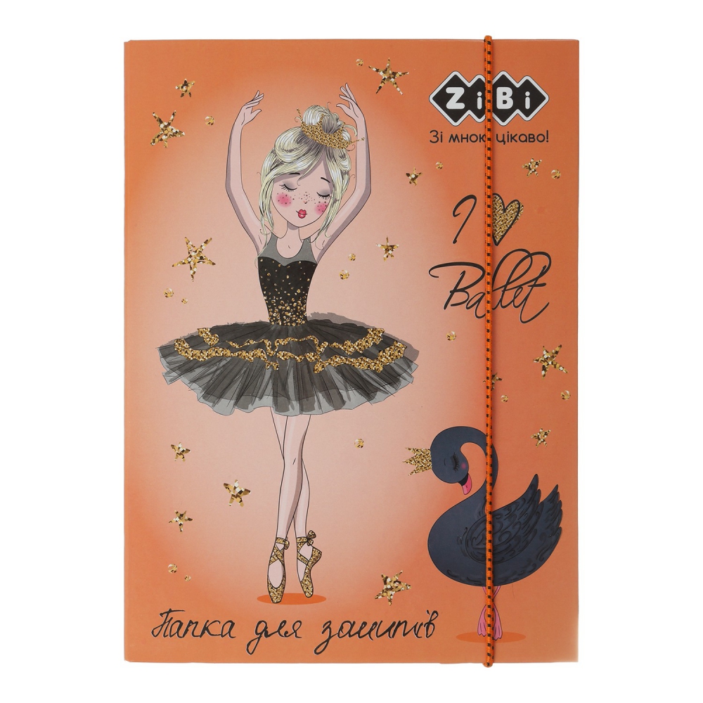 /Папка для зошитів AMAZING, картонна, на гумках В5+ (175х240х25мм)