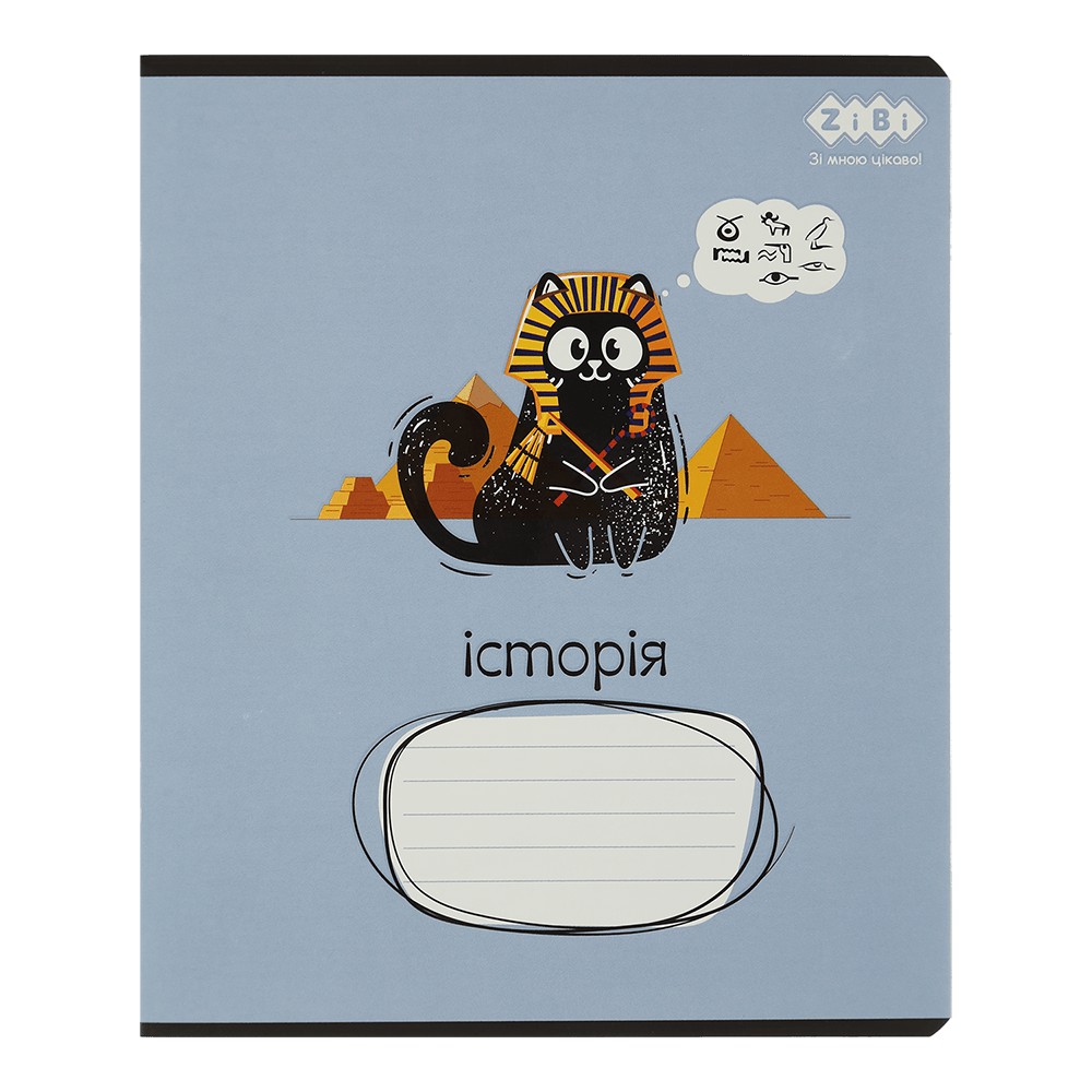 /Зошит учнівський загальний CRAZY CAT, 48арк., клітинка, історія, конгревн. тисн. + УФ лак вибір. KI