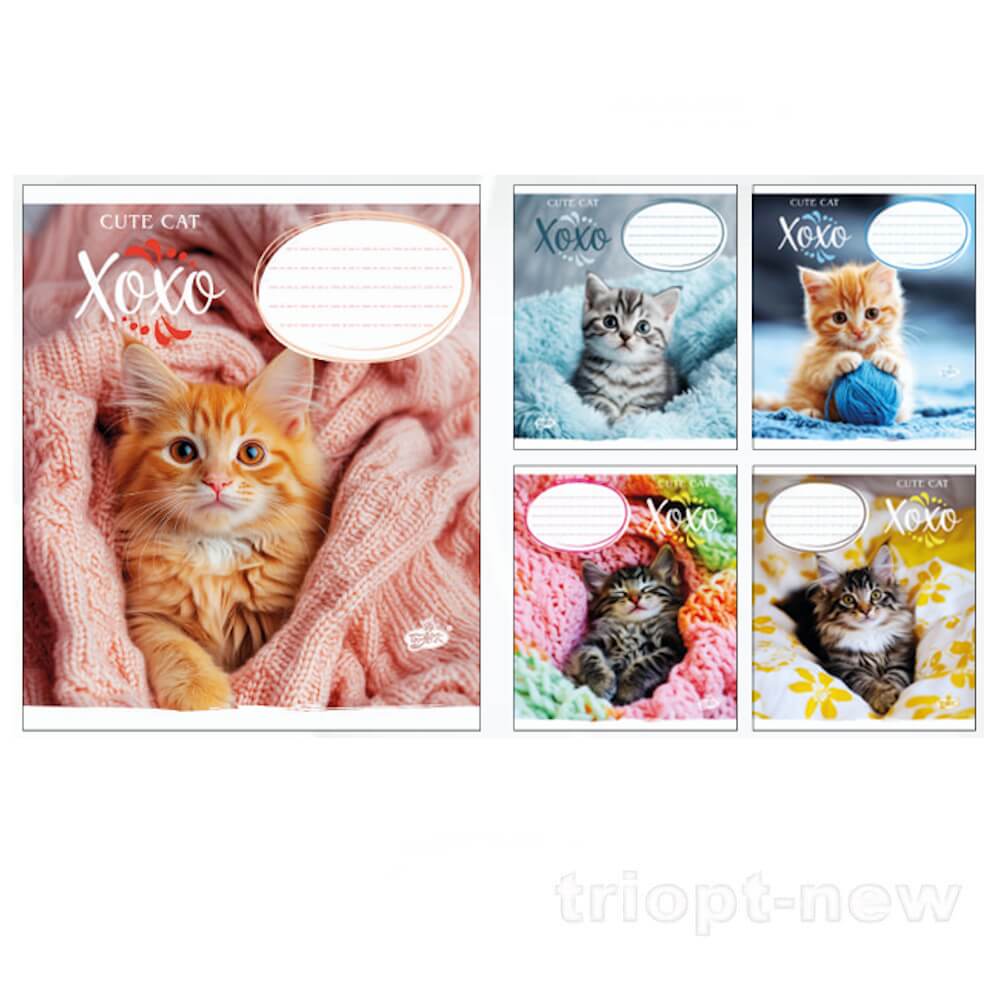 Зошит 12арк.оф.#ТВ-107 №2527 Милий котик