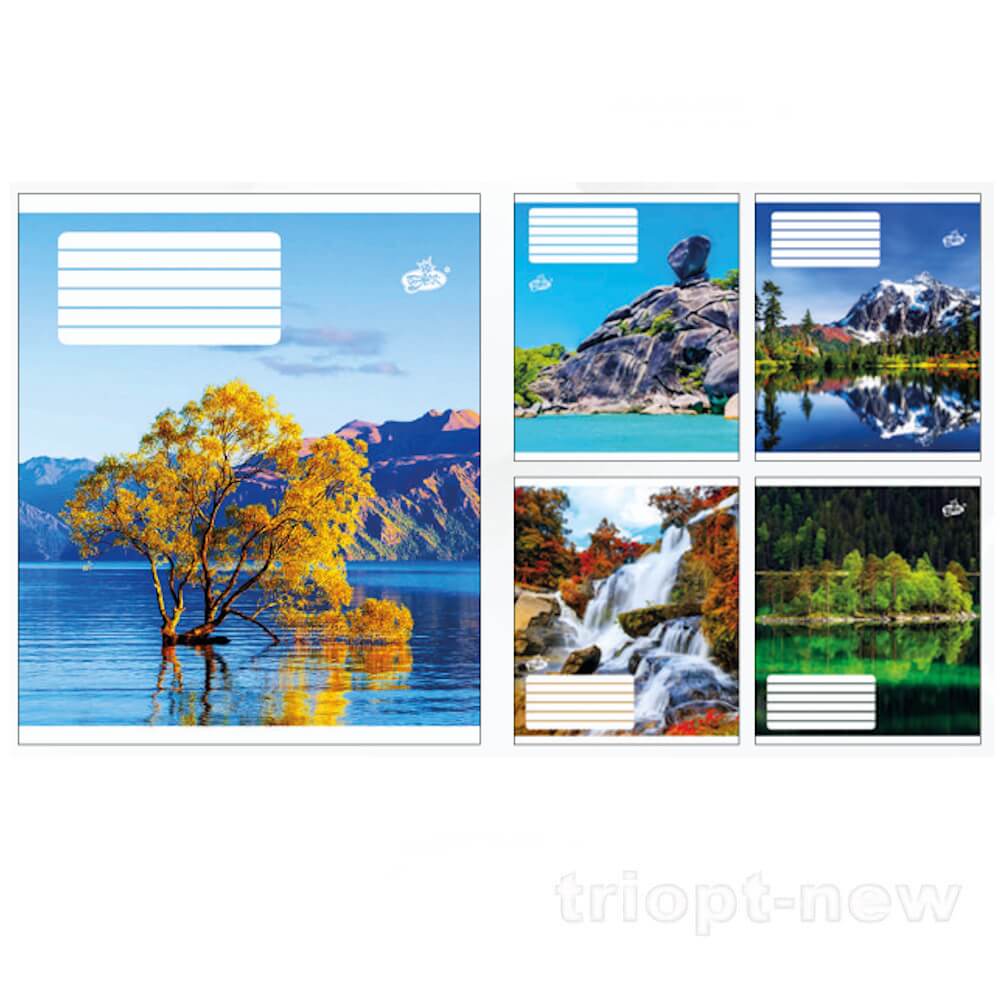 Зошит 12арк.оф.#ТВ-107 №2542 Зачарованi схили