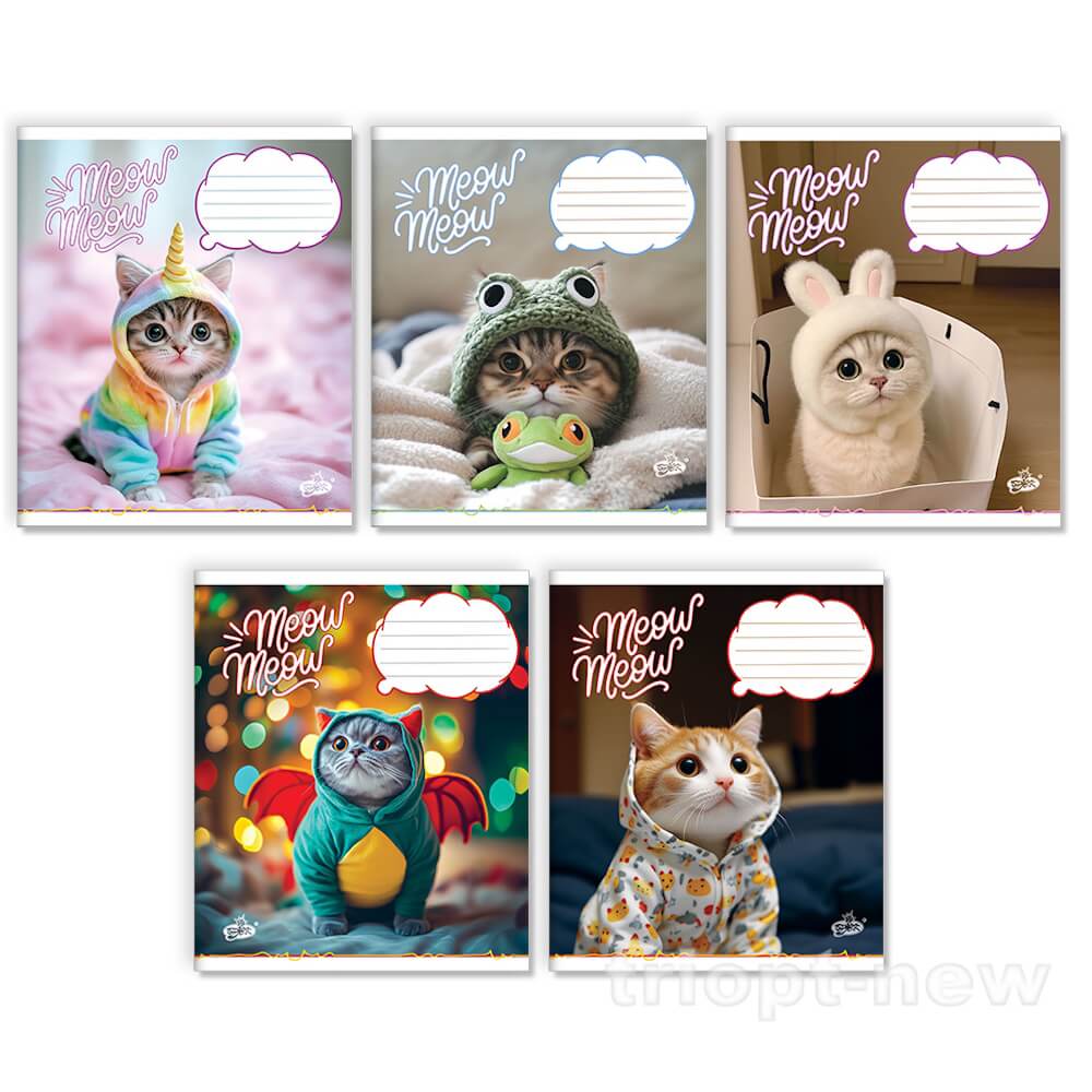 Зошит 24арк.оф.#ТВ-109 №2663 Котокосплей