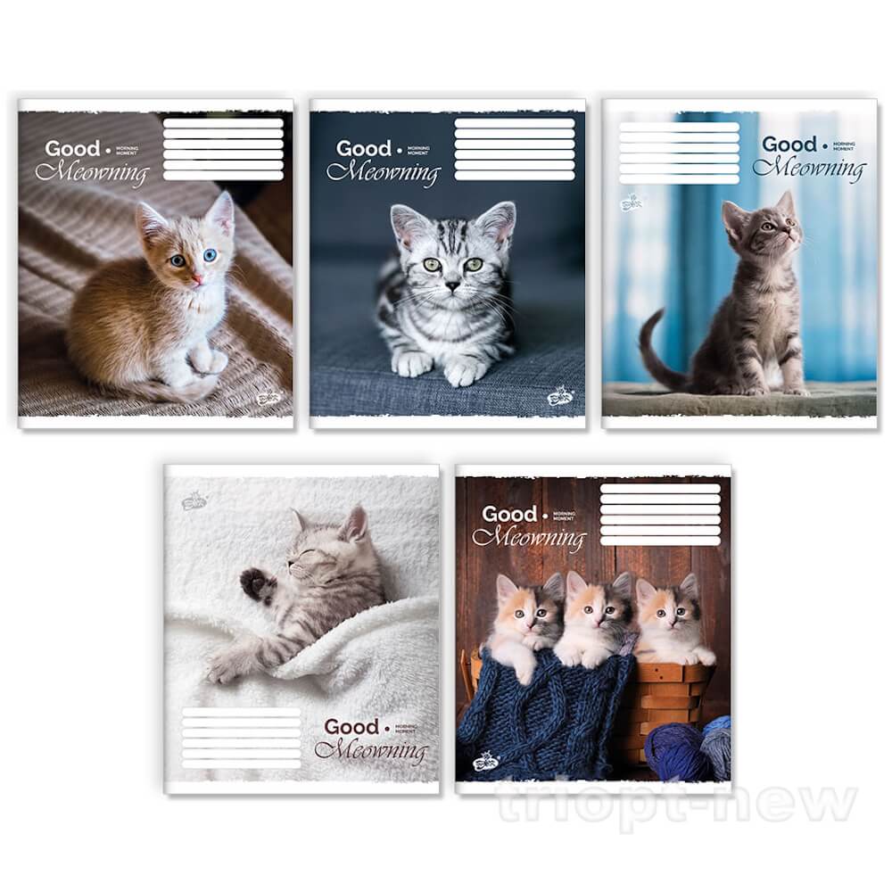 Зошит 24арк.оф.=ТВ-109 №2673 Ранковий настрiй