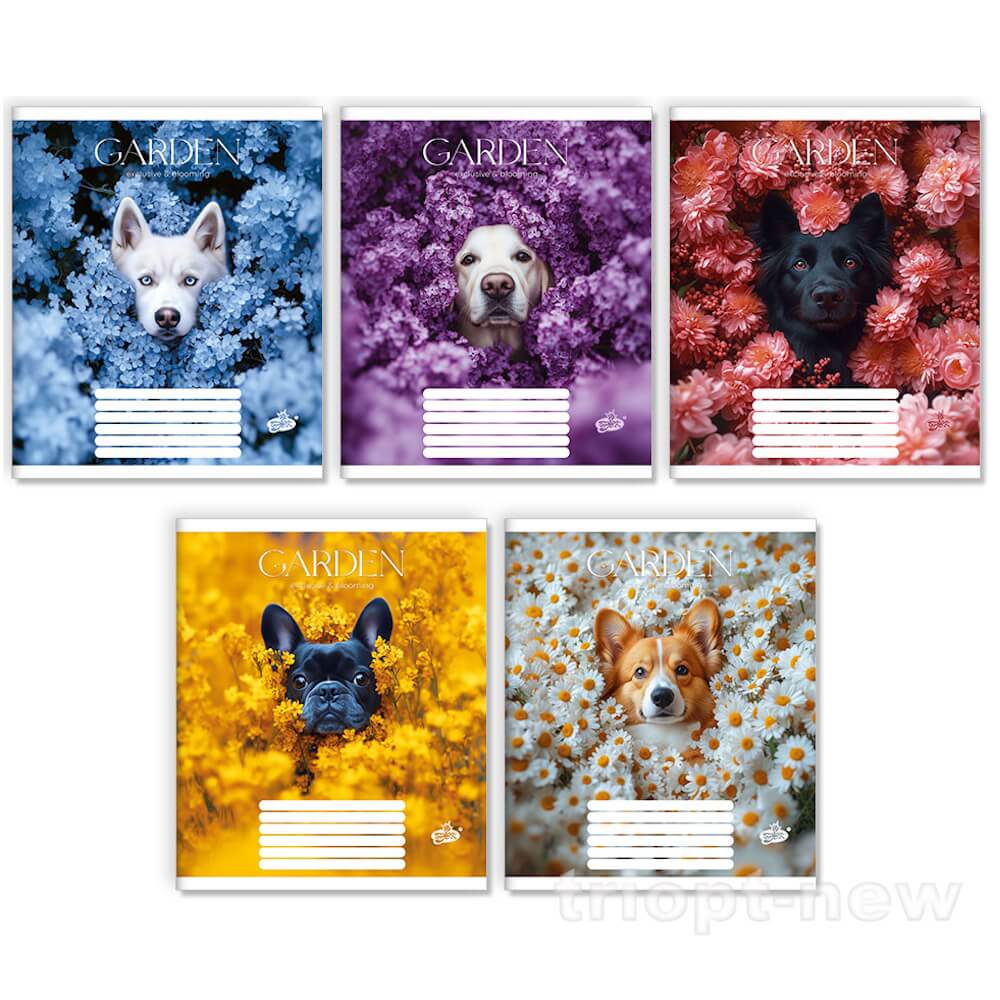 Зошит 36арк.оф.#ТВ-7 №2680 Квiтковi хвостики