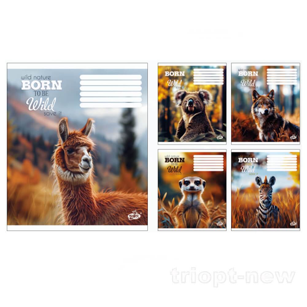 Зошит 48арк.оф.#ТВ-14 №2592 Бережи звiрят