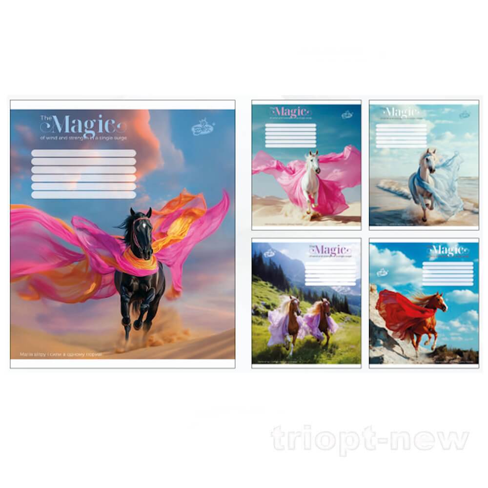 Зошит 96арк.оф.=ТВ-17 №2637 Магiя вiтру