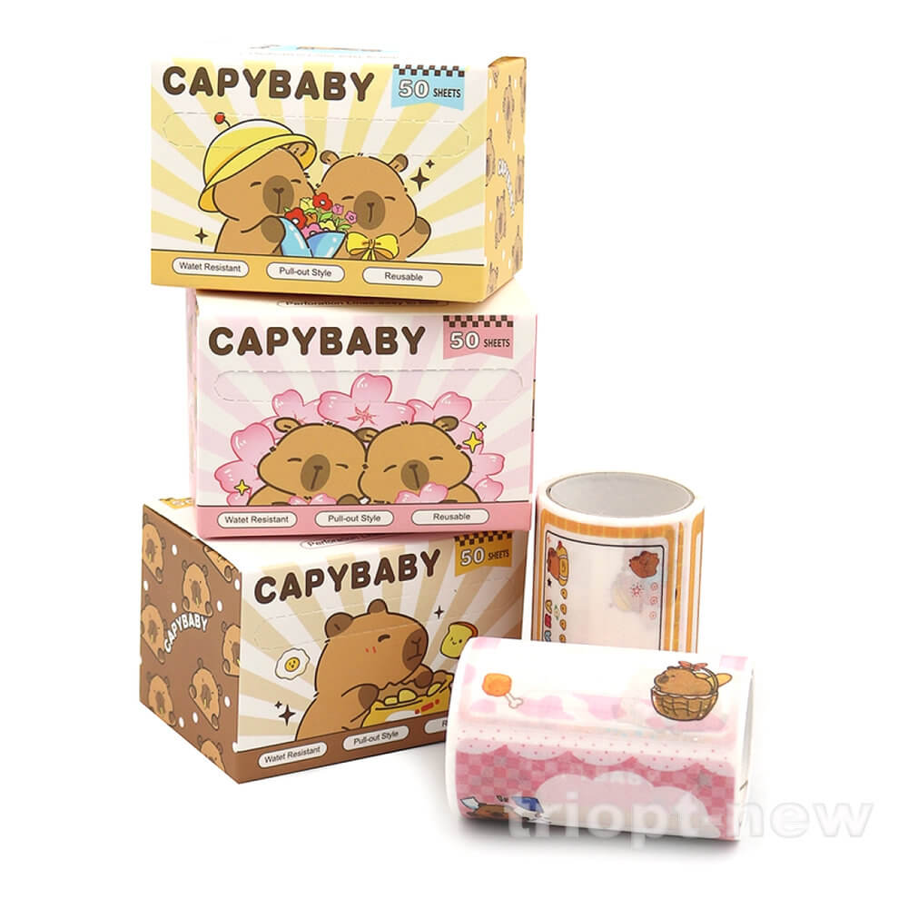 C801 Папір самокл. для нотаток 