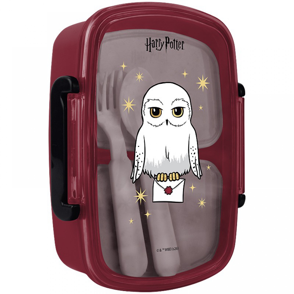 Ланчбокс для їжі. Виготовлений з харчового пластику. Містить дві окремі ємності і доповнений столовим приладдям. Об'єм 750 мл.