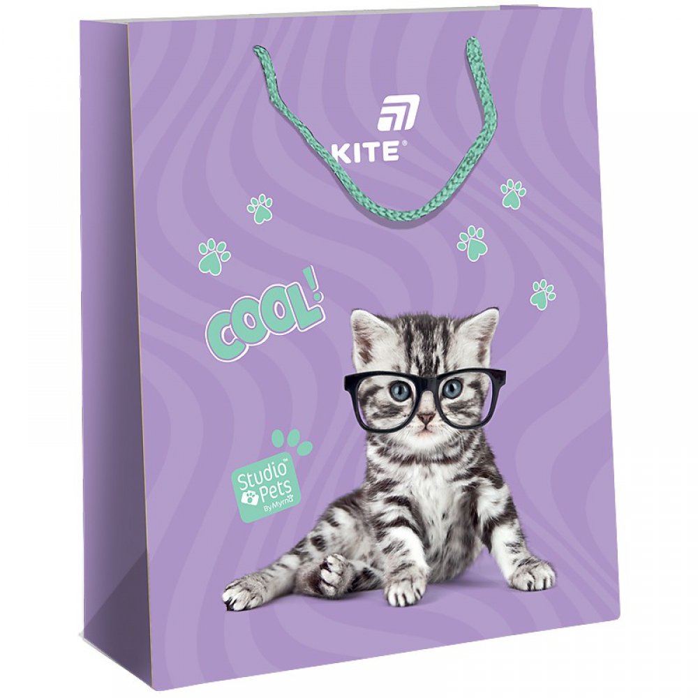 Пакет паперовий подарунковий, 26х32см, SP