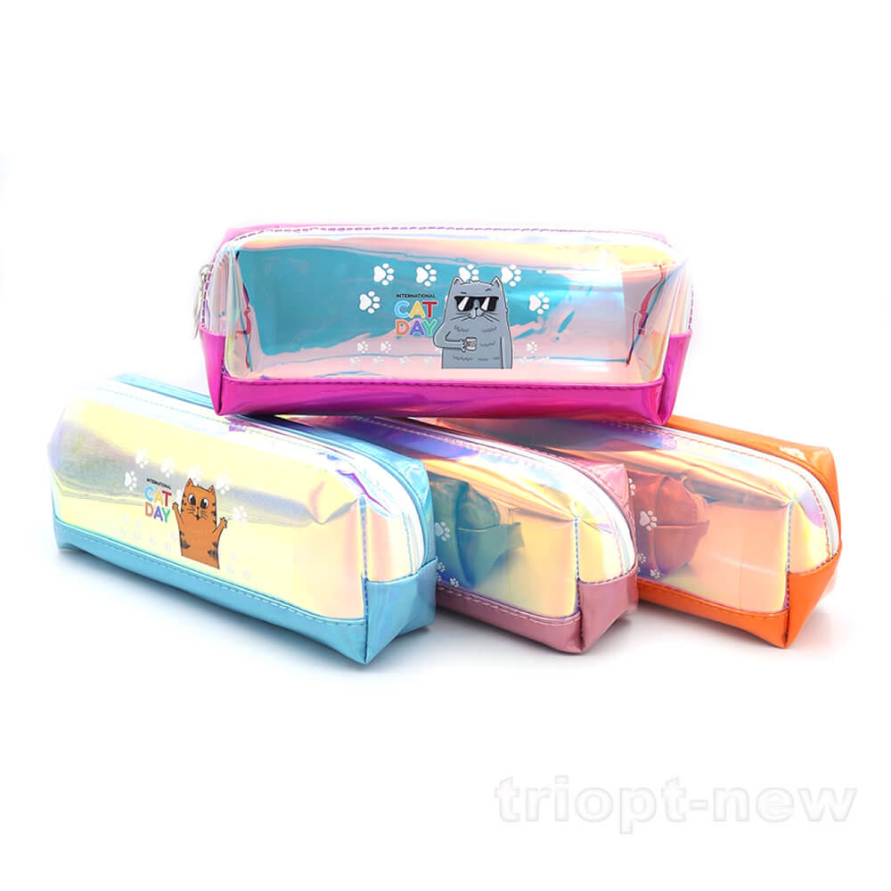 DSCN1900 Пенал прозор. 