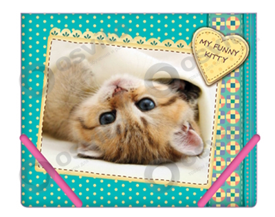 Папка на гумках В5 