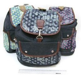 2249 Рюкзак молодіжний 