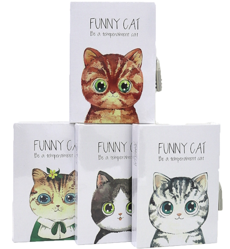 DSCN4058 Блокнот в коробці на замочку 