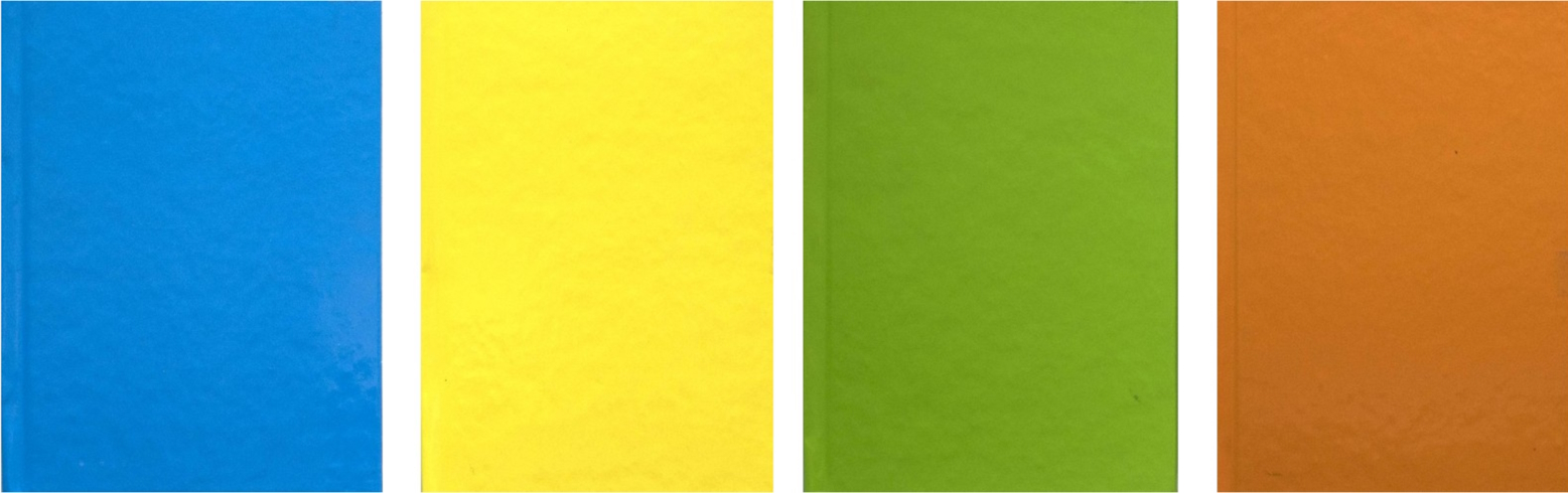 Зошит  А4  80 арк., флуор., тв. пал., блок - офсет імп. 60 г/м?, клітинка, лясе, 5 кол., мікс ТП-7