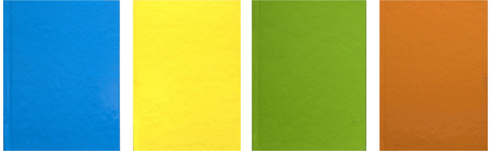 Зошит  А4  96 арк., флуор., тв. пал., блок - офсет імп., клітинка, лясе, 5 кол., мікс ТП-54