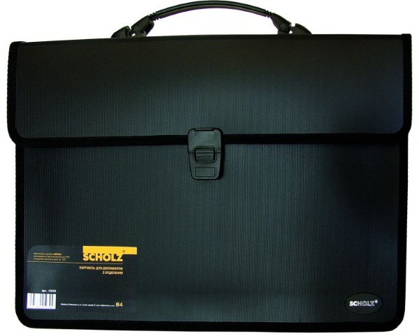 Портф.В4 2вд.чн.10503 SOZ