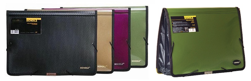 Папка А4 2 вiд. кольорова на гумцi ассортi 5212 SOZ