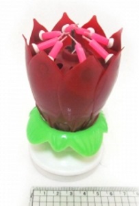 DSCN6737 Свічка для торта 