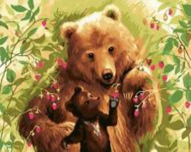 RA5371_B Раск-ка по номер. 40*50см 