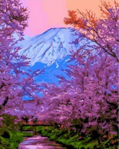 RA5502_O Розм-ка за номером. 40*50см 